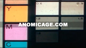 Anomic_Age_Color