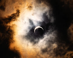 AA_IB_206_Todays_Dream_or_Tomorrows_End