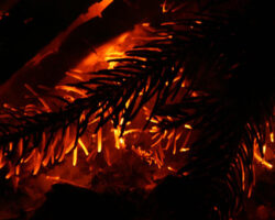 AA_IB_215_Anticlimactic