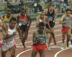 AA_IB_216_Race_to_Emasculate