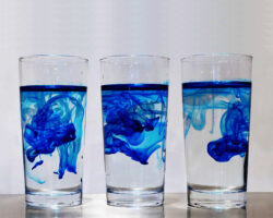 AA_IB_231_Cultural_Dilution