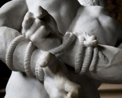 AA_IB_240_Do_Not_Struggle