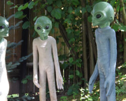 AA_IB_265_Monsters_on_Main_Street