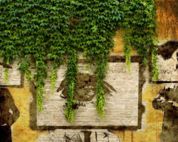 AA_IB_273_Creeping_Surveillance