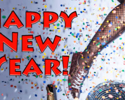 AA_IB_333_Happy_New_Year_2024