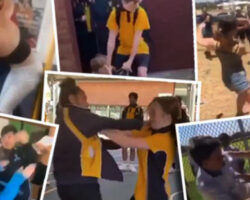 AA_IB_342_Misplaced_Aggression