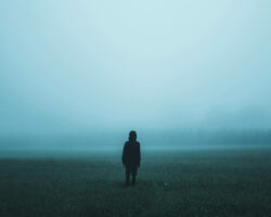 AA_IB_350_Fog_of_Lies