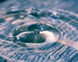 AA_IB_366_Be_Impactful