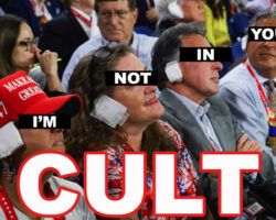 AA_IB_386_RNC_Cult_2024