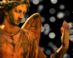 AA_IB_398_Forgiveness