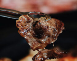 AA_IB_401_Eating_Pets