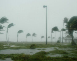 AA_IB_416_Death_by_FEMA