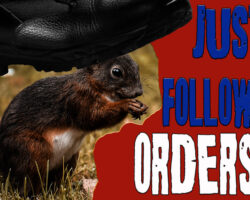 AA_IB_425_Just_Following_Orders