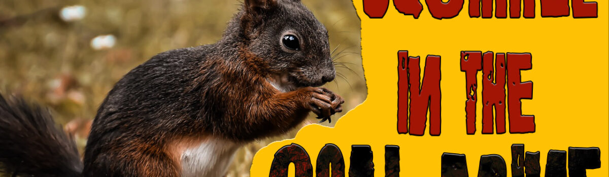 Squirrel-in-the-Coal-Mine