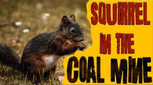 Squirrel-in-the-Coal-Mine