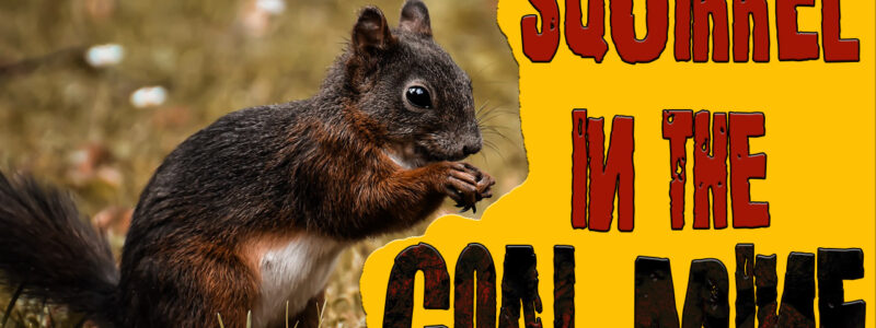 Squirrel-in-the-Coal-Mine