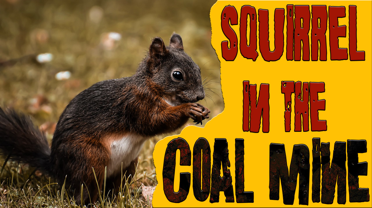 Squirrel-in-the-Coal-Mine