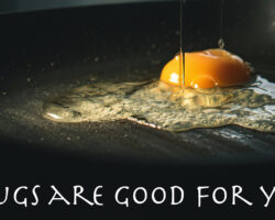 AA_IB_438_Drugs_are_Good_for_You