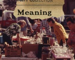 AA_IB_436_Meaning_in_the_Meaningless