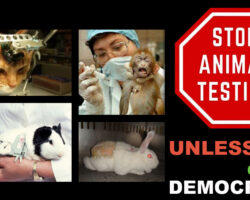 AA_IB_453_Acceptable_Cruelty