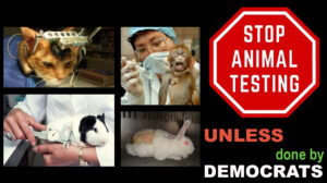 Animal-Testing
