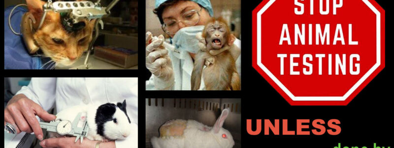 Animal-Testing