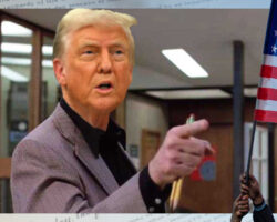 AA_IB_475_Burning_the_Bill_of_Rights