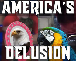 AA_IB_480_America’s_Delusional_Race_Relations