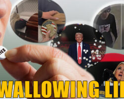 AA_IB_485_Swallowing_Lies