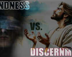 AA_IB_489_Blindness_vs._Disernment