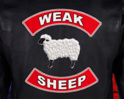 AA_IB_488_Understanding_Weak_Sheep