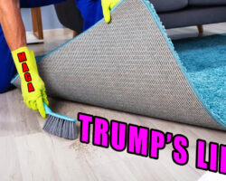AA_IB_496_MAGA_Sweeping_Trump_Lies_Under_the_Rug