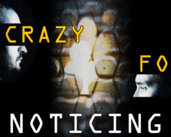 AA_IB_497_Crazy_for_Noticing