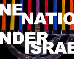AA_IB_502_One_Nation_Under_Israel
